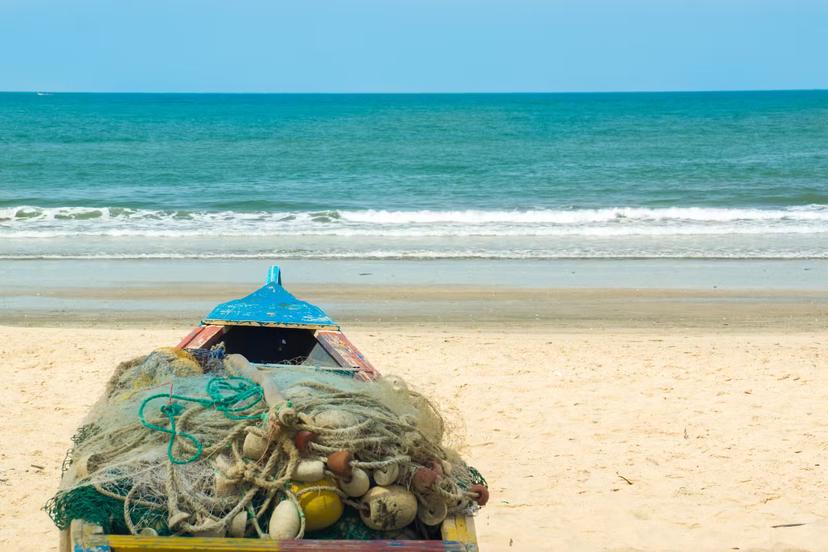 Best beaches in The Gambia for your next coastal retreat
