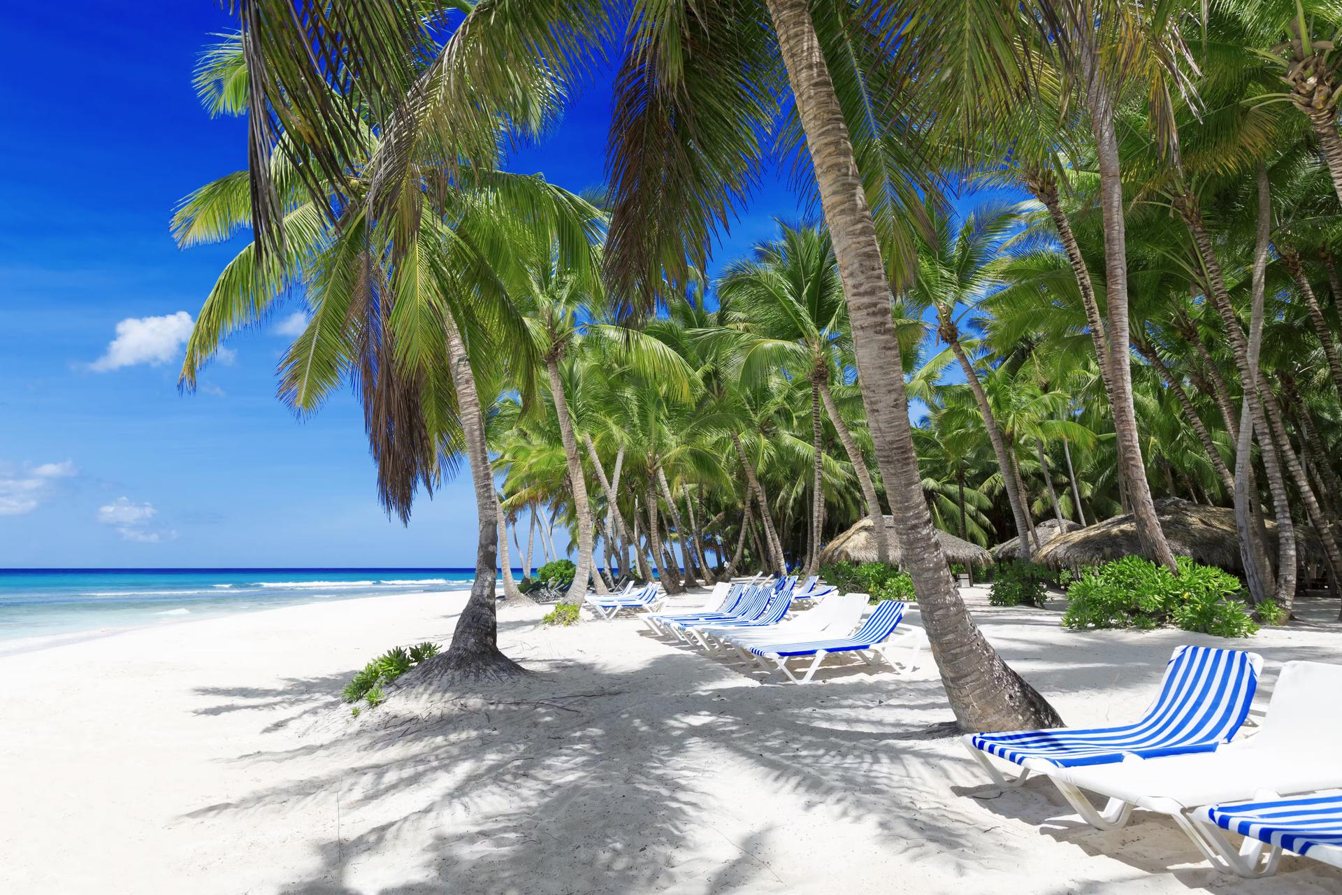 Strand på en tropisk Fijiö.  Klarblått vatten, sand och palmer.  Vacker semesterplats, behandling och vattensport