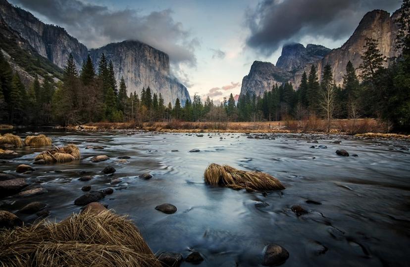 Scenic view of river in forest, Yosemite National Park, California, USA