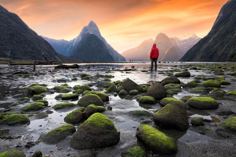 Milford Sound/Piopiotahi is a fiord in the south west of New Zealand's South Island