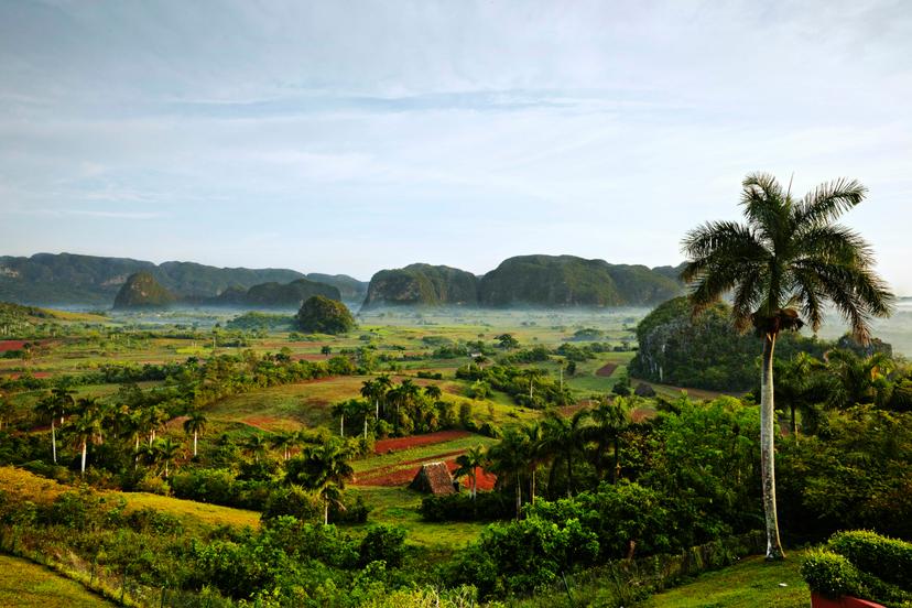 Tobacco crops fill the valley in Vanales for producing world famous Cuban cigars.