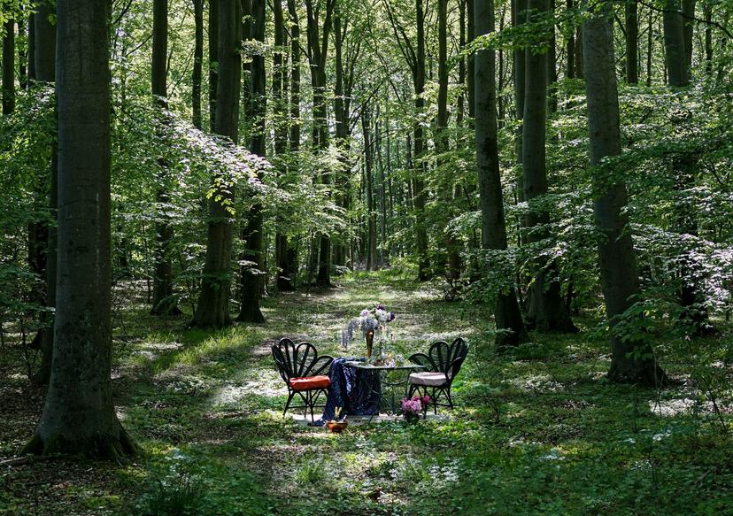 At Nowhere, guests dine surrounded by the beauty of nature © Oddbird