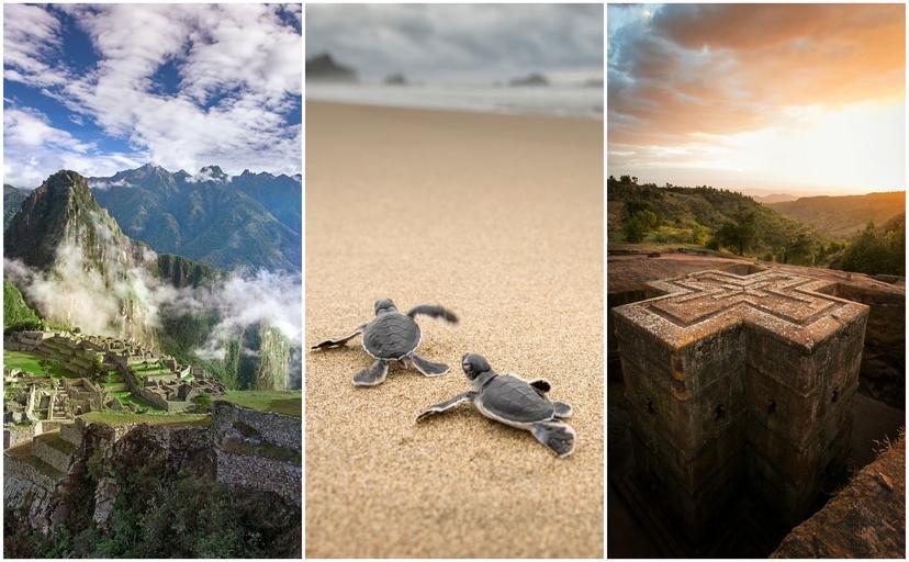 Machu Picchu (left); sea turtles in Indonesia (center); Ethiopia (right) © Philip Lee Harvey / Lonely Planet