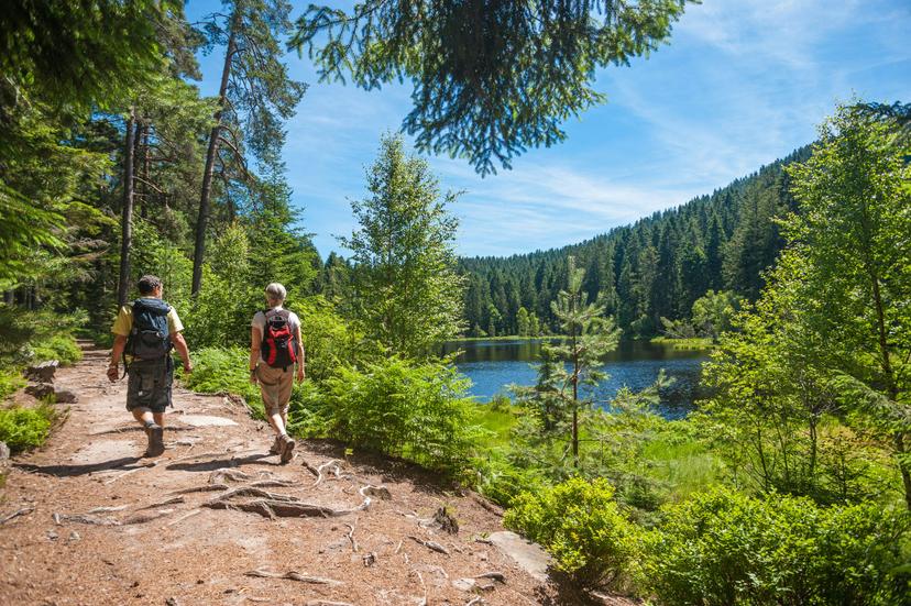 Hikers at the Herrenwieser See, Westweg, Forbach, Black Forest, Baden-Wuerttemberg, Germany, Europe