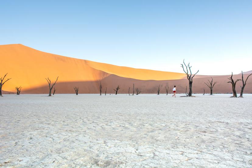 The Deadvlei clay pan in Namibia © Melanie van Zyl / Lonely Planet