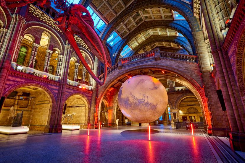 The seven-meter-wide artwork is suspended from the ceiling in the Hintze Hall © Trustees of the Natural History Museum