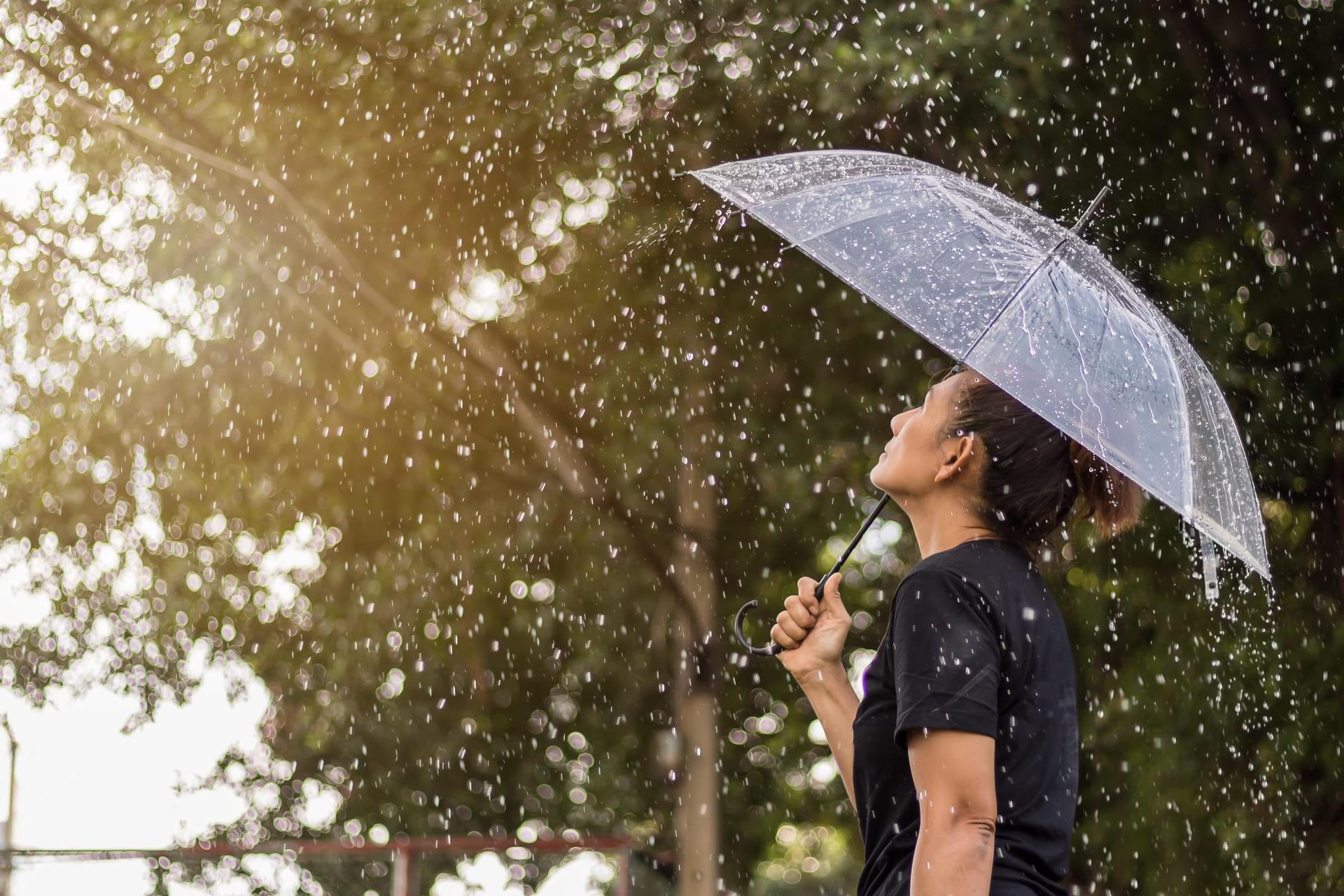 Sidovy av en kvinna som står under ett paraply och mot ett träd under regn i Bangkok
