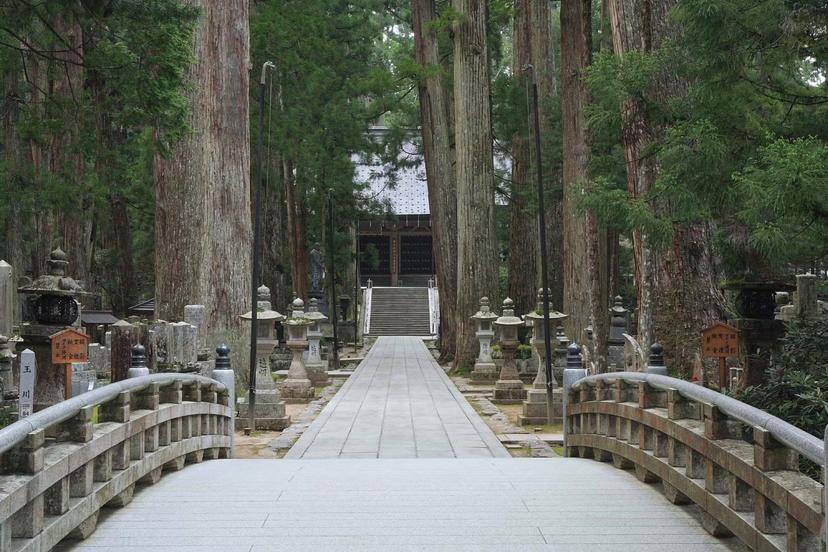 Okuno-in is an expansive, breathtaking cemetery with towering cedar trees and moss-covered grounds © Courtesy of Kinki Transportation Bureau