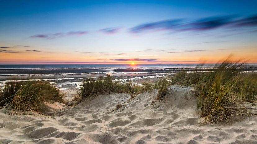 Sunset over sand dune and beach; Shutterstock ID 1163522122; Your name (First / Last): Sarah Stocking; GL account no.: 65050; Netsuite department name: Digital Content-WIP; Full Product or Project name including edition: Destination Project Best Beaches in Michigan