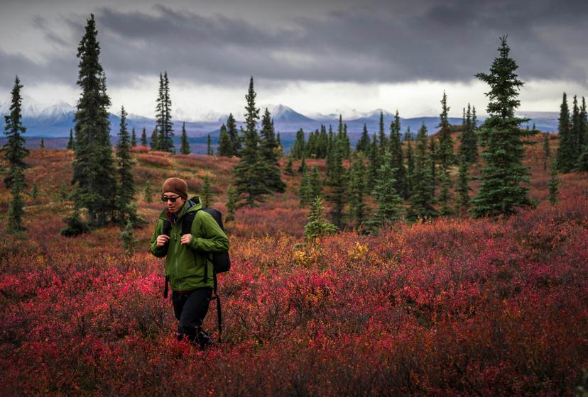 If you are craving a hike in Alaska and aren't sure where to start, here are our fourteen favorites © Getty Images/Mint Images RF