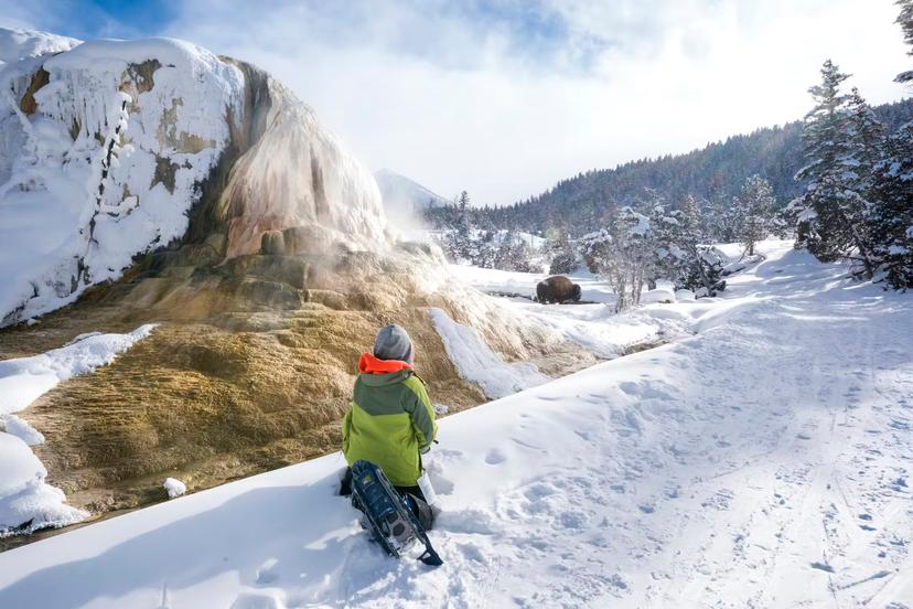 Wyoming, USA - February 21, 2018: A boy in a green jacket and snowshoes sits on a snowy back in front of Orange Spring Mound on the Upper Terraces waiting for a bison to move away from the trees at the next bend in the trail on a guided excursion around Mammoth Hot Springs at Yellowstone National Park during winter