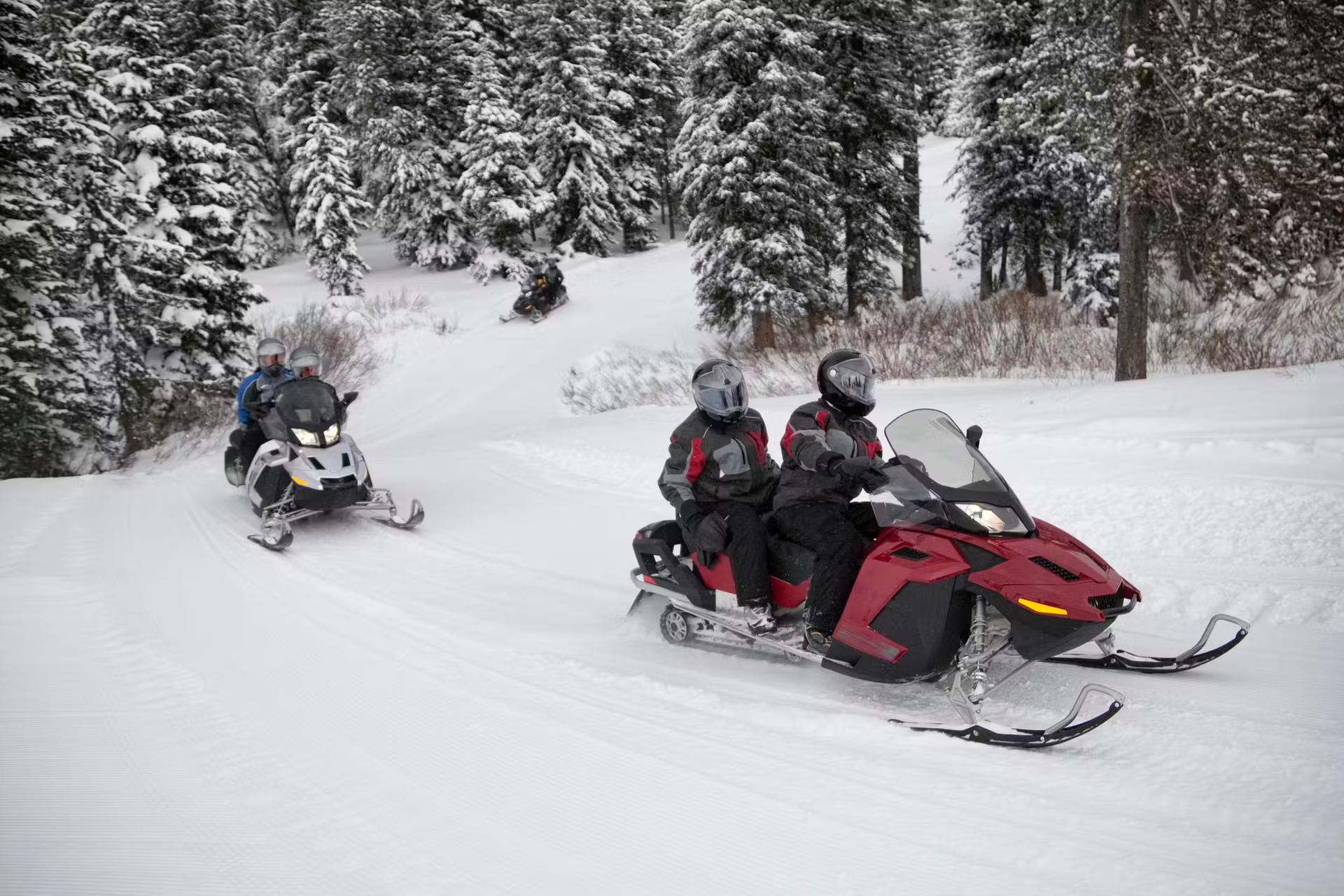 Four people ride on two snowmobiles on a trail through thick snow and woodland in Montana