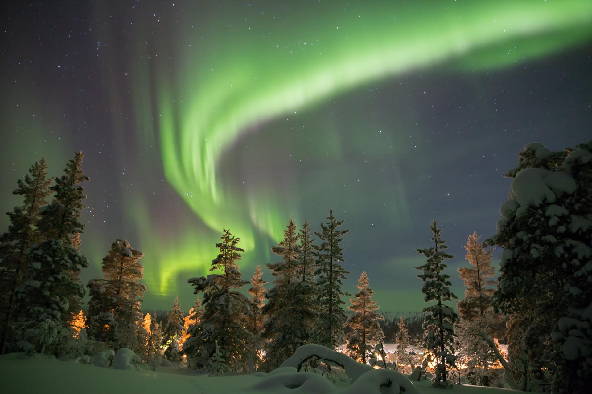 The northern lights shine over snow-covered trees. 