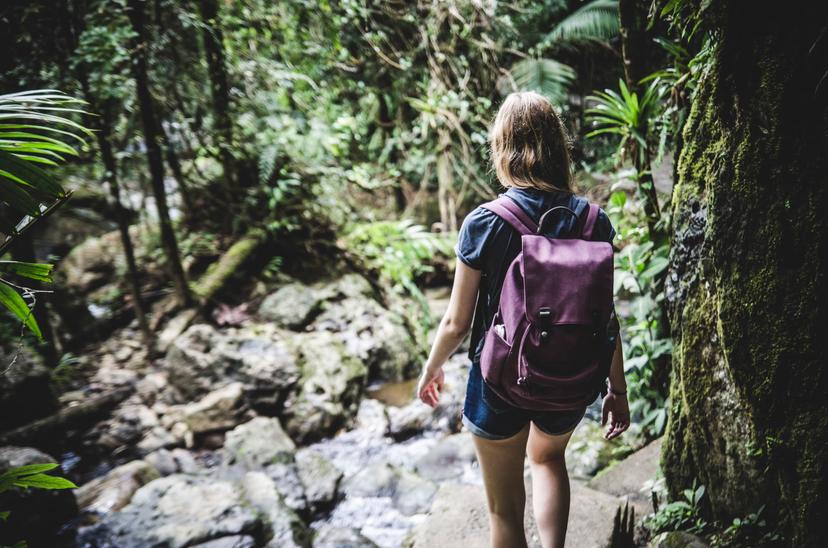 A woman walks down a path in the El Yunque Rainforest in Puerto Rico. 