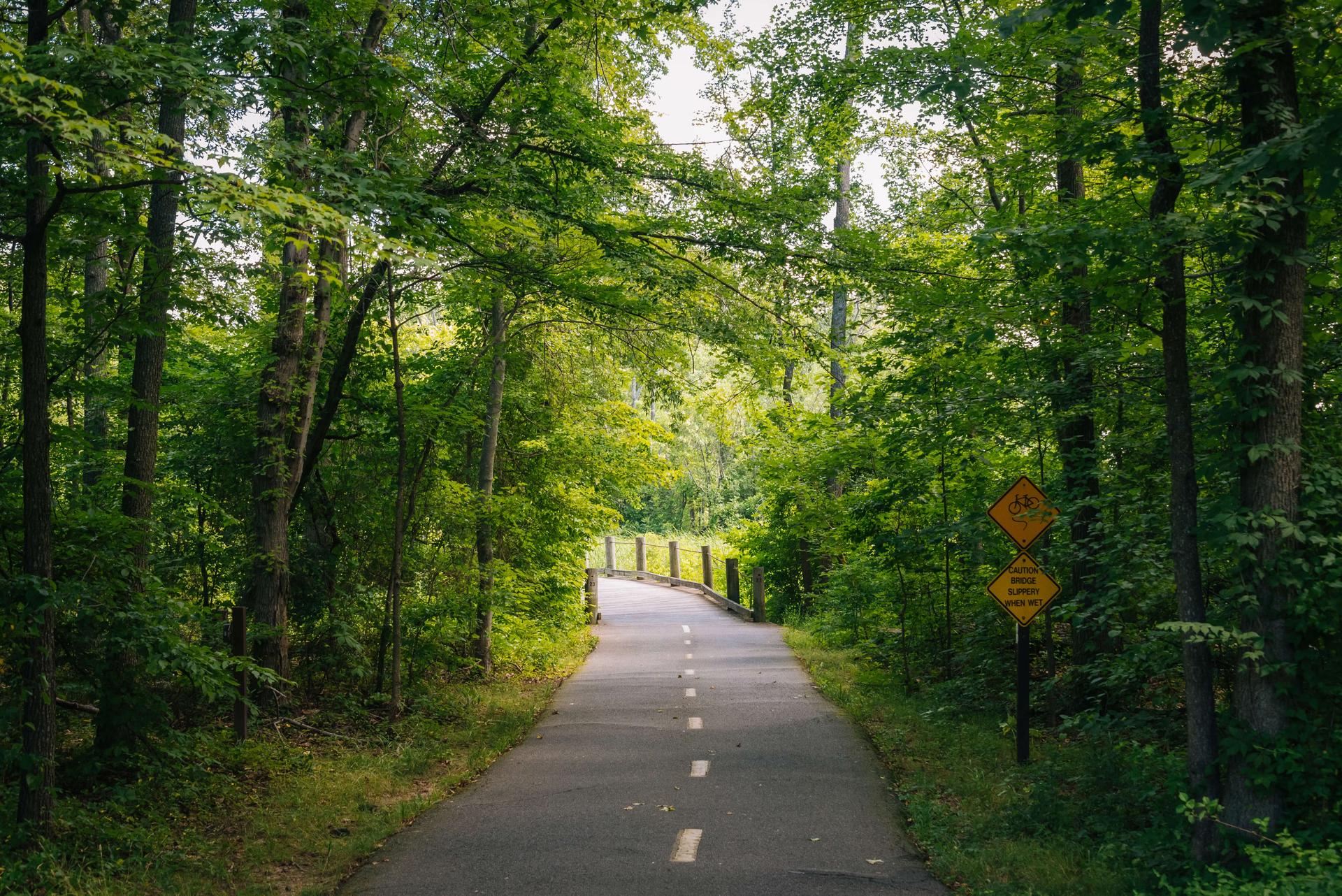 An empty tree-lined bike trail in Virginia