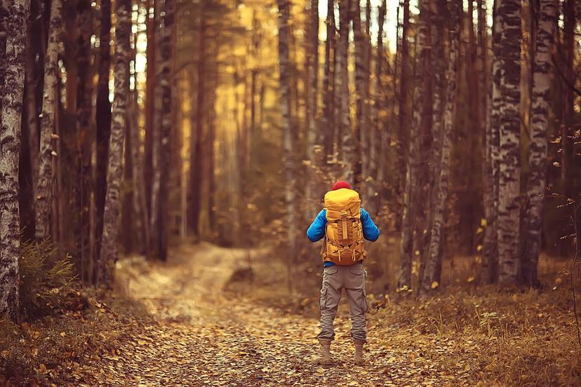 A man trekking in the forest in Finland in autumn
