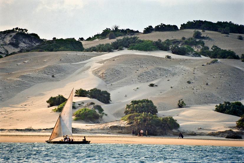 Kenya, Coast, sailing dhow off Shela Beach on Lamu Island.