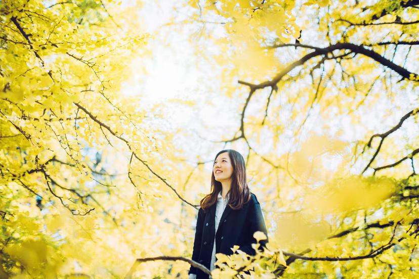 Asian woman surrounded by golden gingko trees and enjoying the spectacular scenics and atmosphere in South Korea