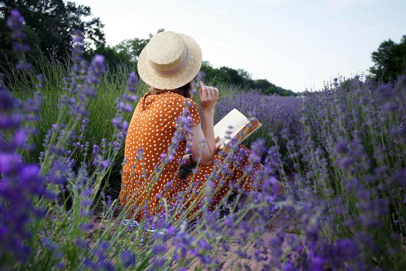 Provence - girl reading a book in a lavender field and basket with lavender in the foreground.; Shutterstock ID 1937252590; your: Sloane Tucker; gl: 65050; netsuite: Online Editorial; full: France Lavender Fields article