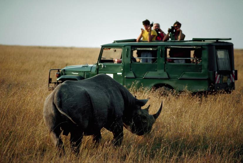 Safari Participants Watch Rhinoceros