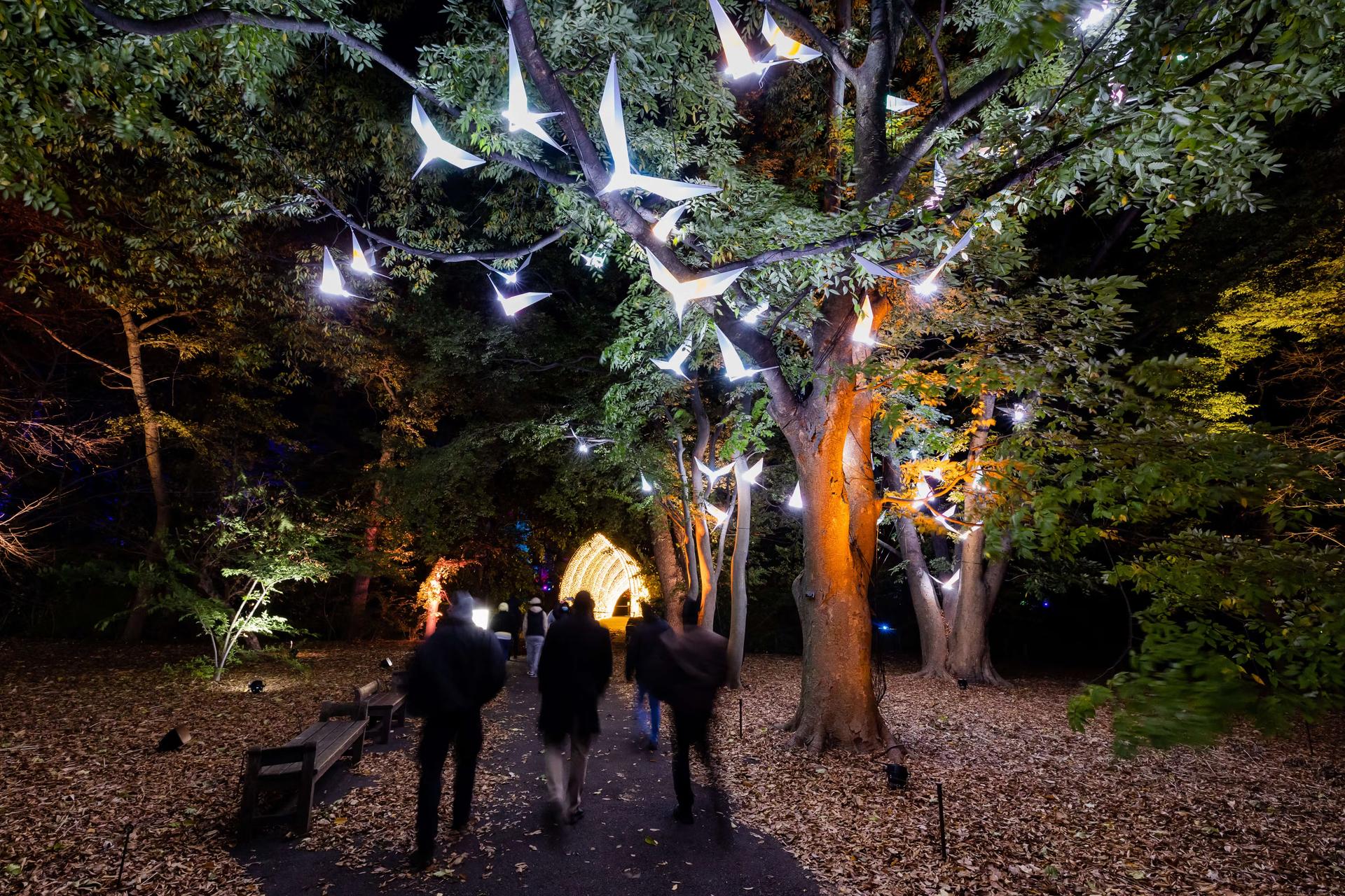 People walking under illuminated white origami-style cranes, hanging from trees at the Brooklyn Botanic Garden