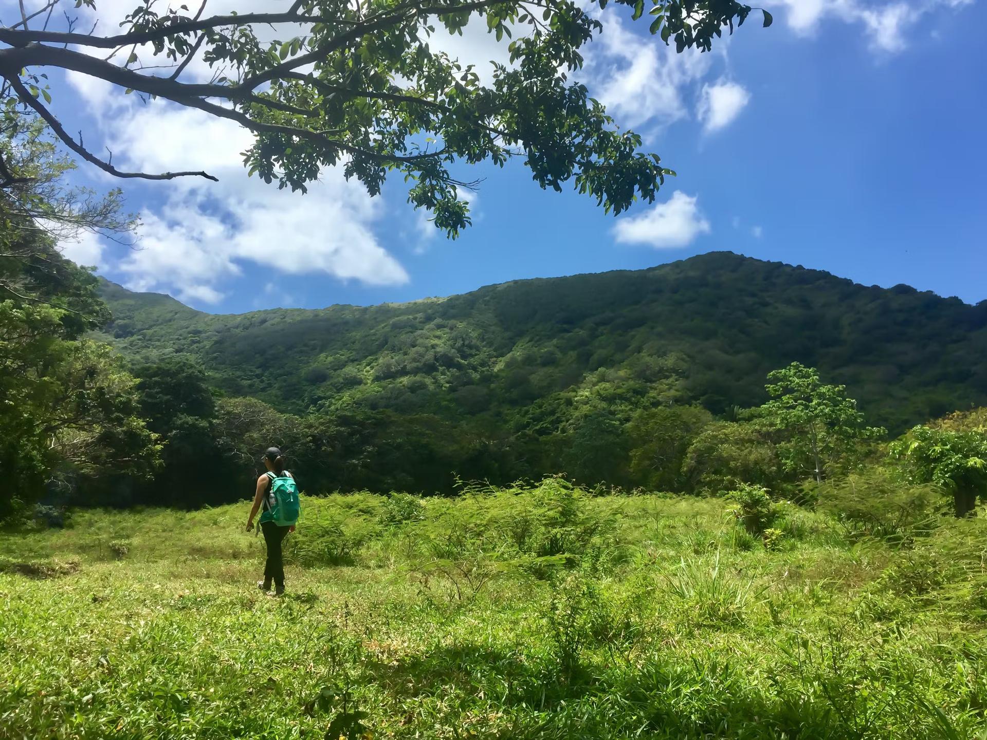 A woman hikes through a field near Guanaja 