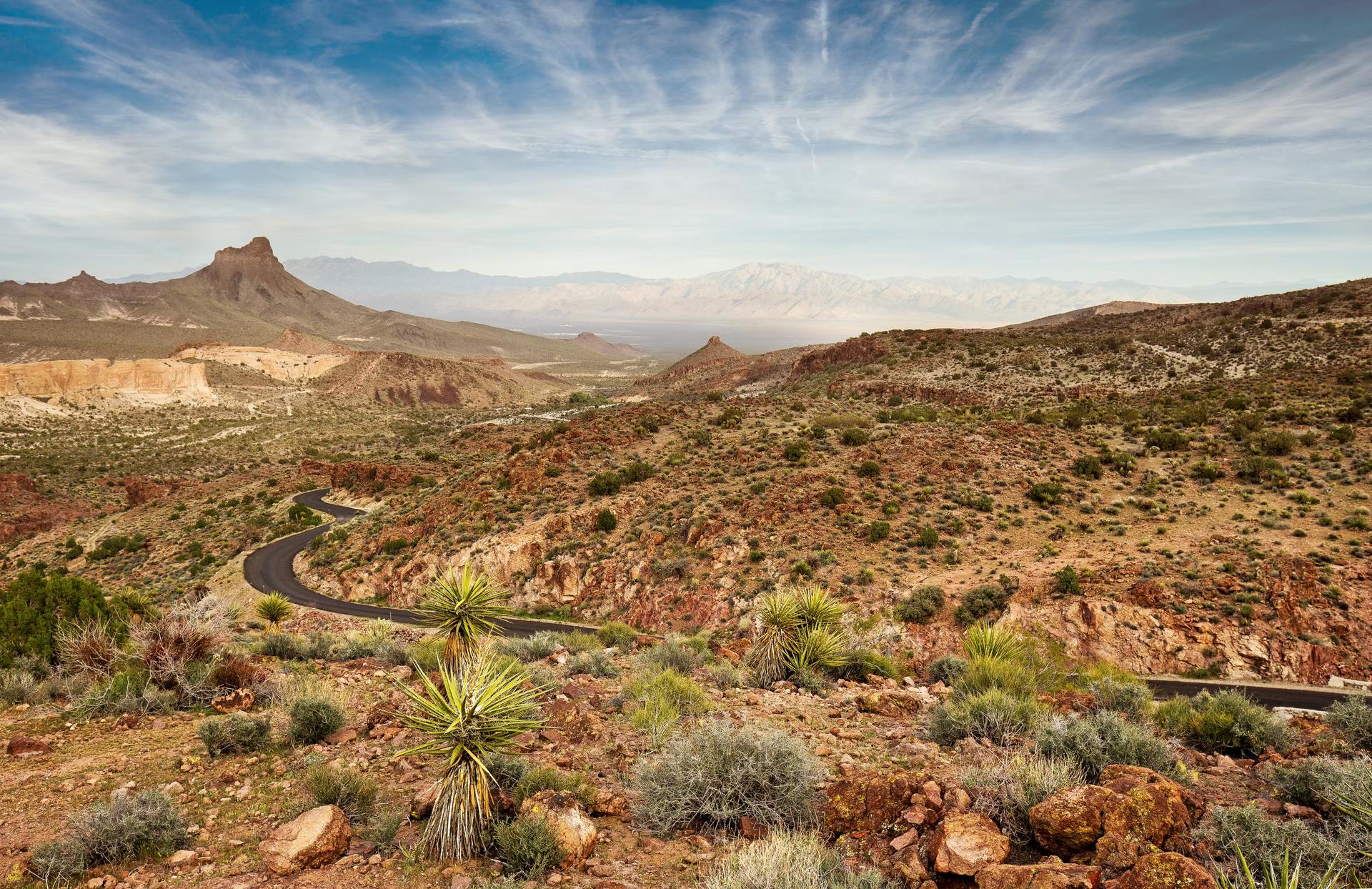 Scenic road in the Mojave National Preserve