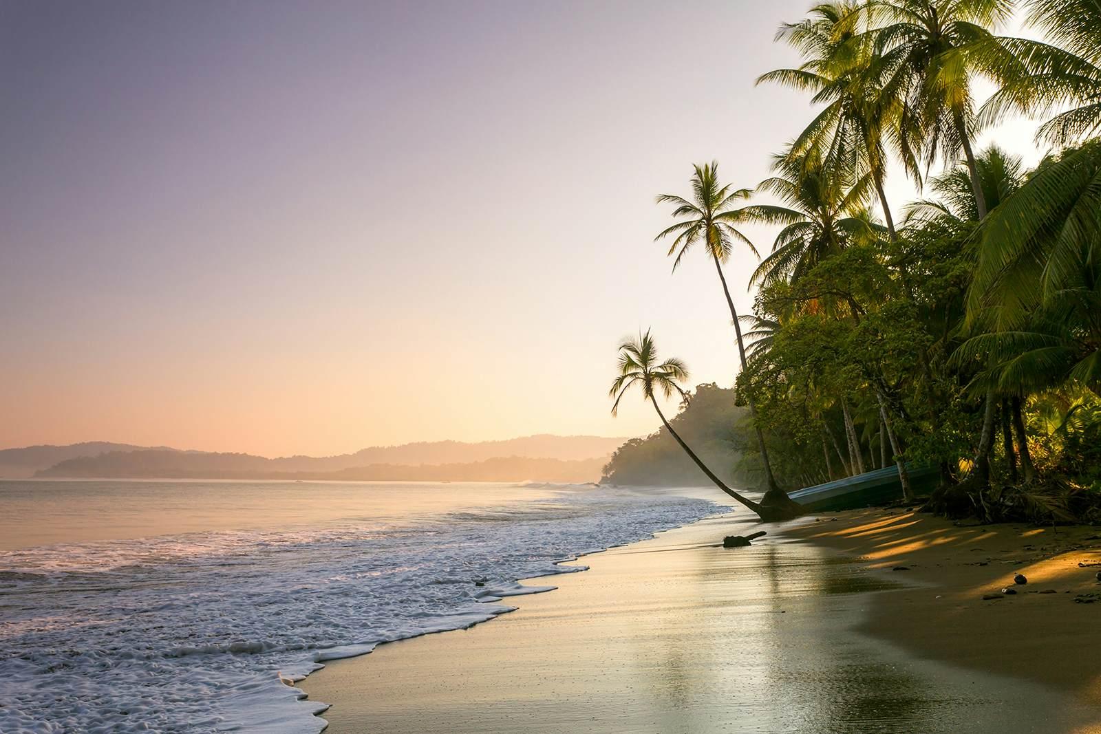 Features - Sunset on palm fringed beach, Costa Rica