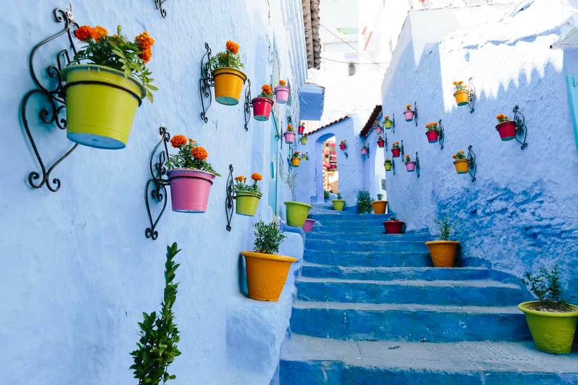 This image is of a blue staircase in the medina of Chefchaouen which is lined with colourful flower pots. The staircase leads up to several houses.