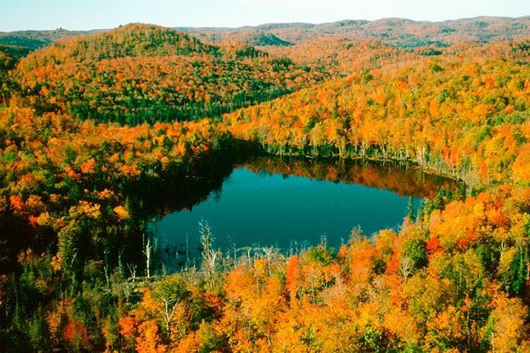 A lake surrounded by autumnal trees deep in the Laurentian Mountains, Quebec. Image by Jean Heguy / First Light / Getty Images