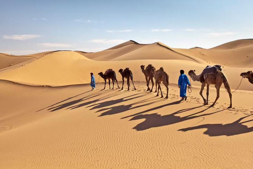 Morocco, Mhamid, Erg Chigaga sand dunes. Sahara desert. Camel drivers and camel caravan.