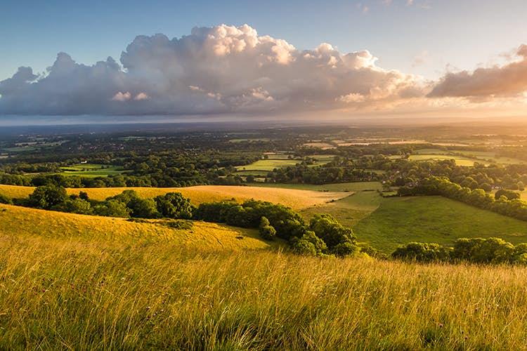 The gently rolling countryside of the South Downs. Image by Glenn Driver / Moment / Getty Images