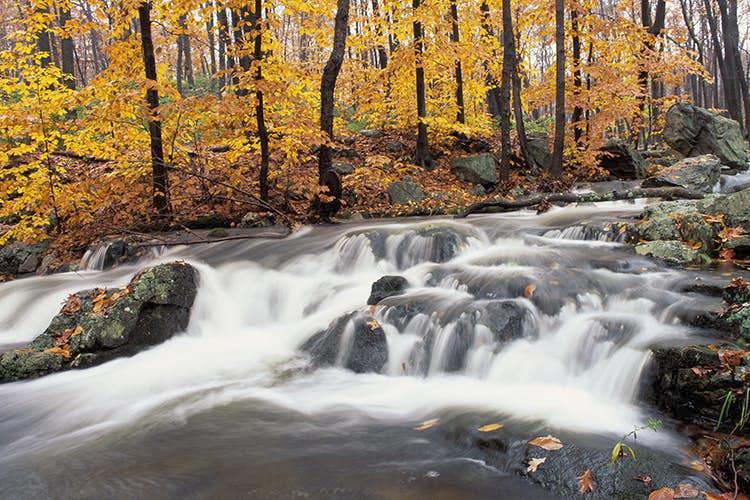 Autumn colors in Harriman State Park. Image by Ron and Patty Thomas / Stockbyte / Getty Images
