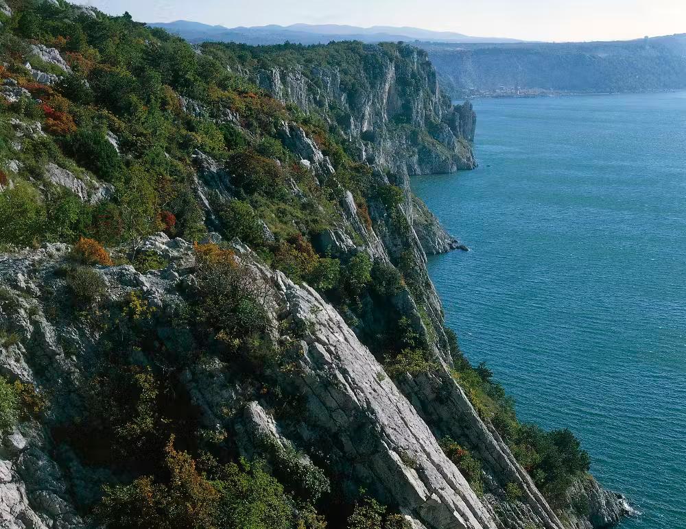 The cliffs of Duino Regional Nature Reserve.