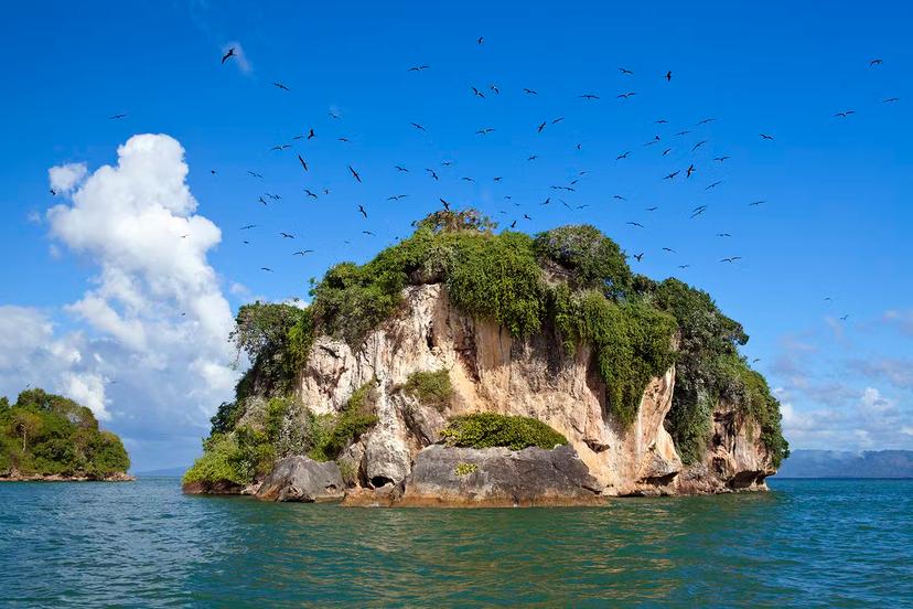 Bird Island in Los Haitises National Park © Daniela Dirscherl / Lonely Planet