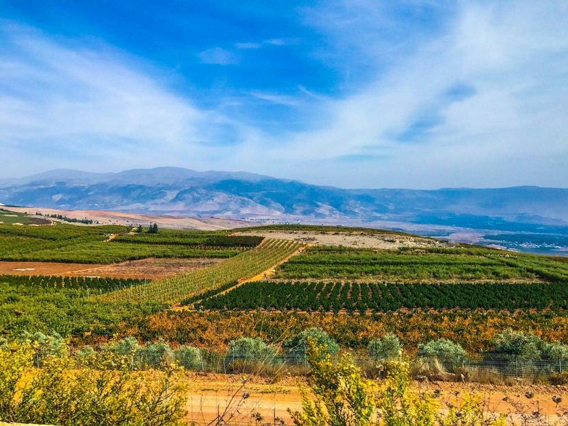 Through vineyards and valleys: on the wine trail in Lebanon