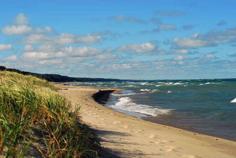 Long shot of curving coastline with white sand and tall grasses, with gentle waves from the blue water of Lake Michigan and a blue partly cloudy sky overhead