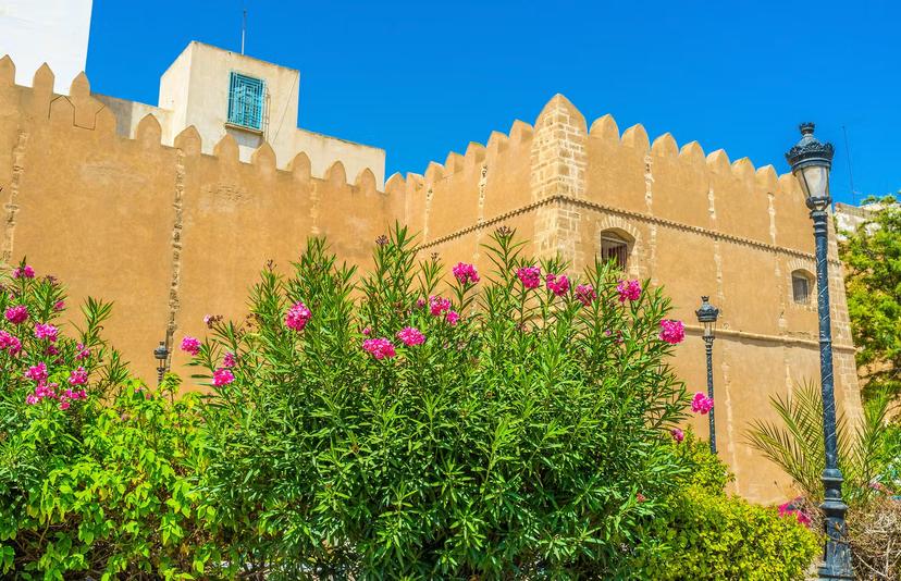Sfax, Tunisia - September 3, 2015: The medieval fortification of Sfax surrounded by lush gardens with many colorful flowers, Tunisia.