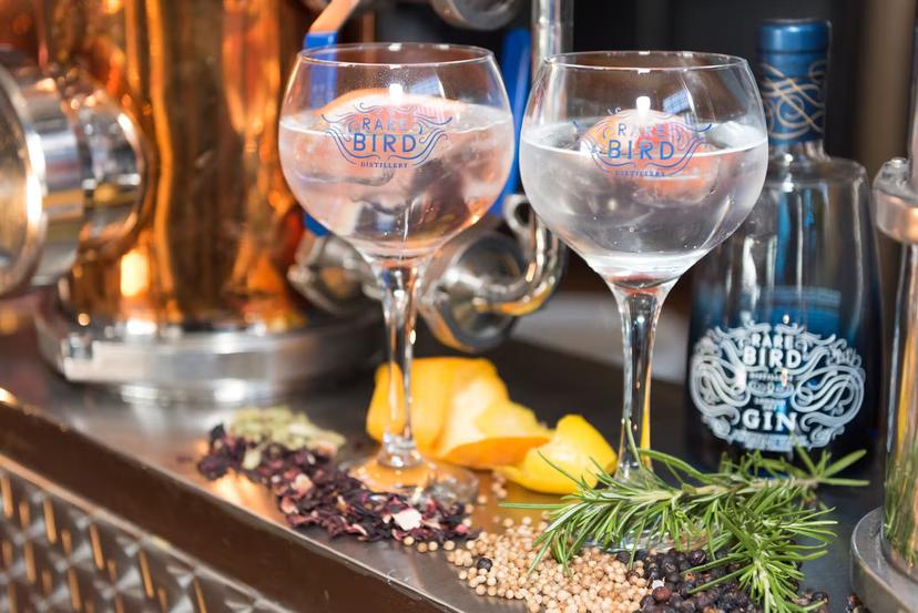 Two glasses with gin over ice stand on a counter, with ingredients surrounding them