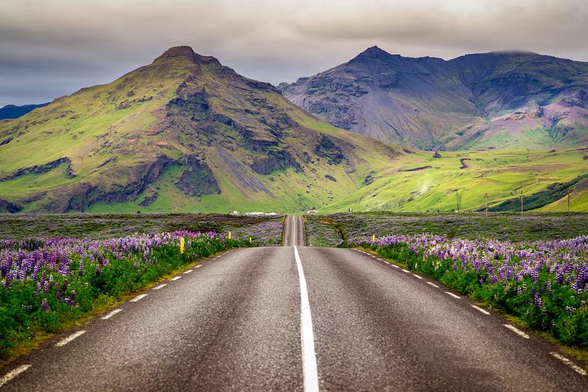 Hit the Ring Road in Iceland for some of the most scenic driving views in the world © Dennis Fischer Photography / Getty Images