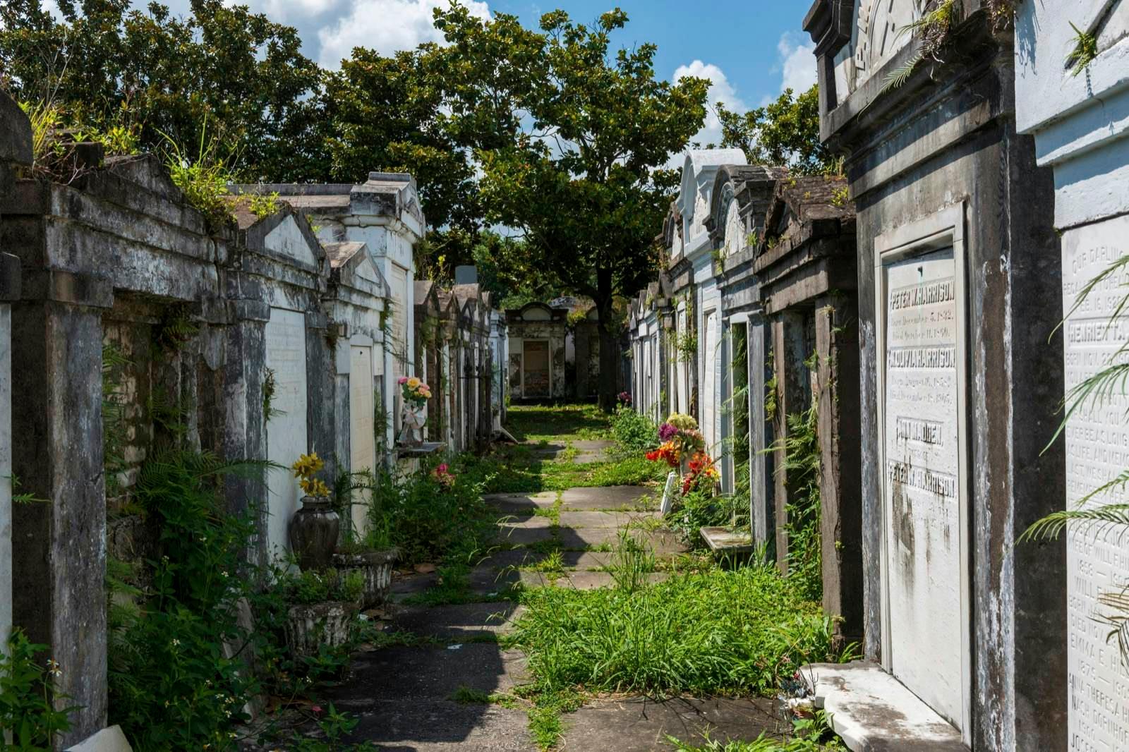Rows of tombs, some covered in green brush, at the Lafayette Cemetery No. 1; free things New Orleans 