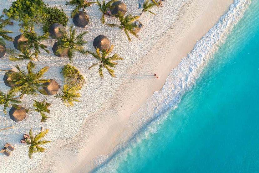 Aerial view of umbrellas, palms on the sandy beach of Indian Ocean at sunset in Zanzibar
