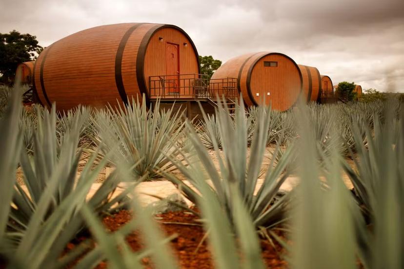 Go to Mexico and sleep in tequila barrels beside a tequila factory