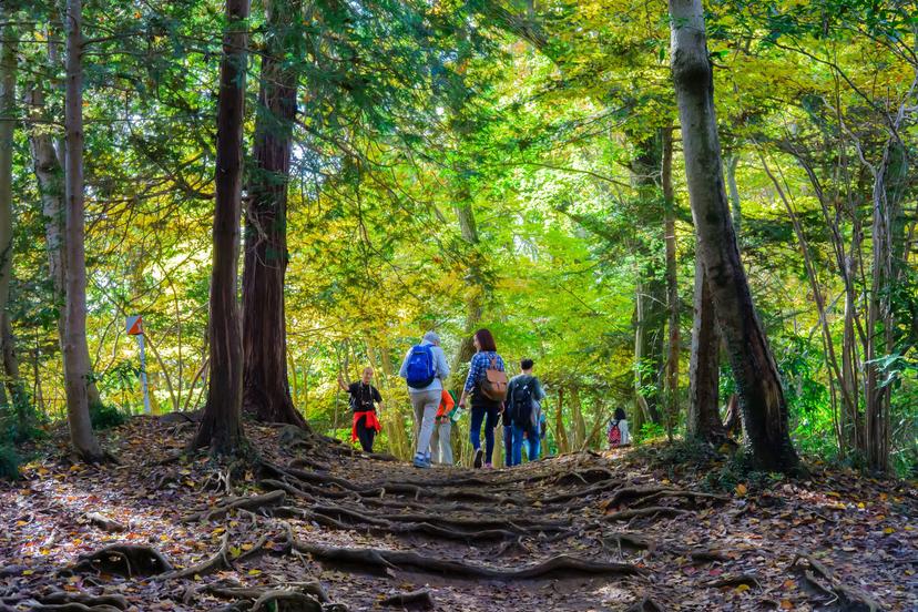Self-reflection not selfies: why Tokyo’s Mt Takao trek is a perfect complement to Mt Fuji