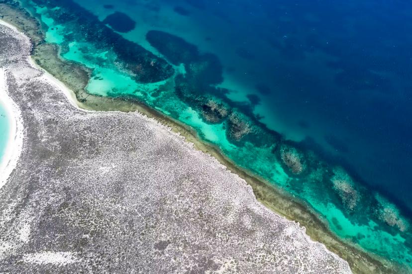 Australia’s newest national park is a biodiverse marine wonderland