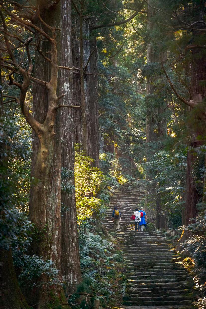The steps of Daimon-zaka are one of the steeper parts of the Kumano Kodō pilgrimage route