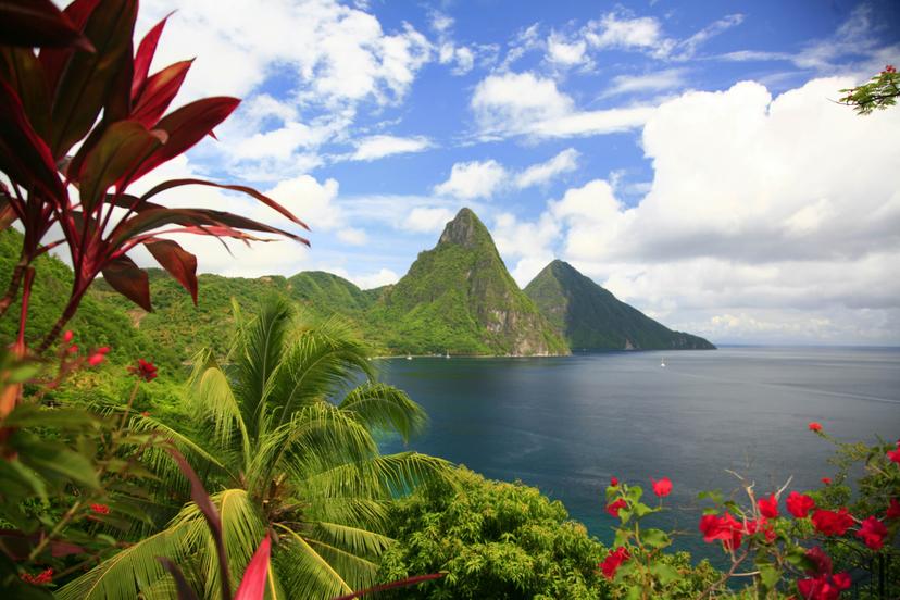 Pitons and flowers in Saint Lucia