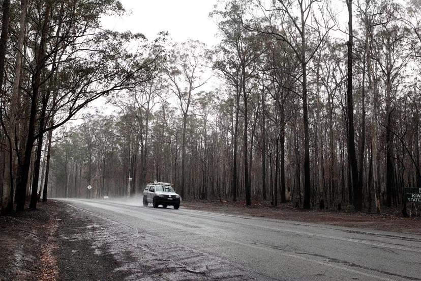 Rain has brought relief to areas affected by Australian bushfires © Xinhua/Bai Xuefei via Getty Images