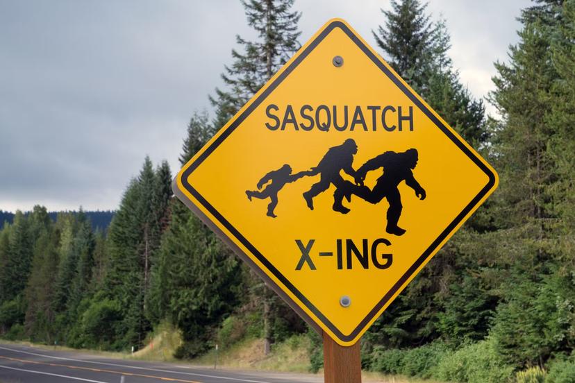 Sasquatch sightings are supposedly rampant in the Pacific Northwest © pabradyphoto / Getty Images