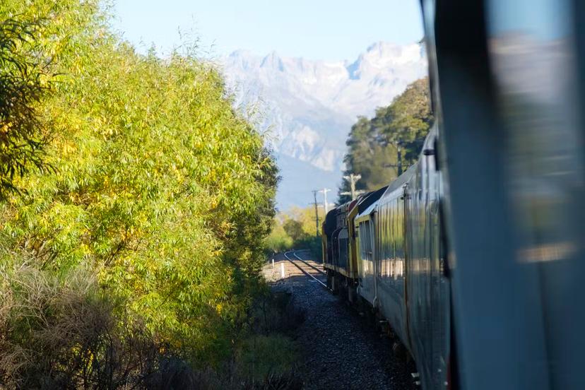 Travel New Zealand by train: cities, mountains and coasts